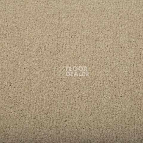 Ковролин Condor  Magic 72 фото 1 | FLOORDEALER